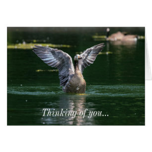 Old Goose Wing Action Denken Sie an Ihre Karte