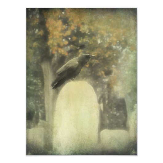 Old Graveyard Raven Fotodruck (Vorne)