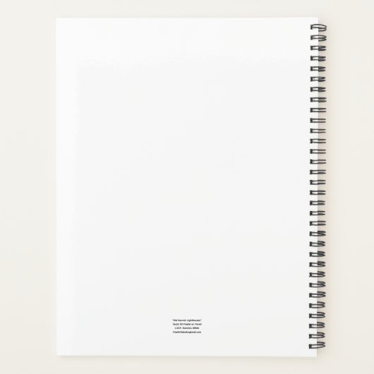 Old Gurnet Lighthouses Planer (Rückseite)