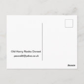 Old Harry Rocks Dorset Postkarte (Rückseite)