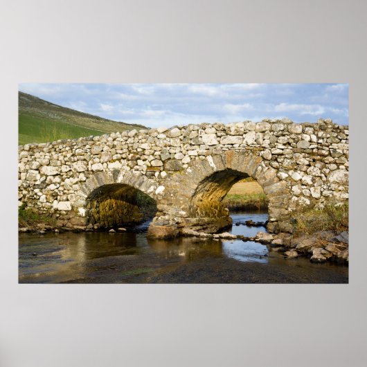 Old Irish Bridge Print Poster (Vorne)