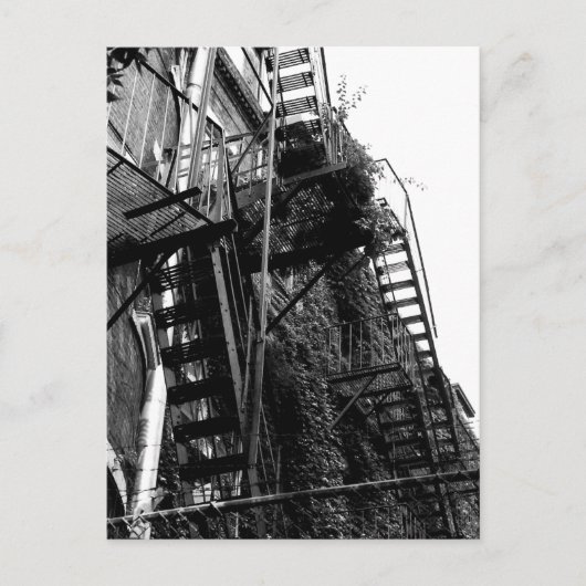 Old Iron Apartment Building Staircase Postkarte (Vorderseite)