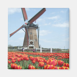 Old Japan Windmühle Magnet