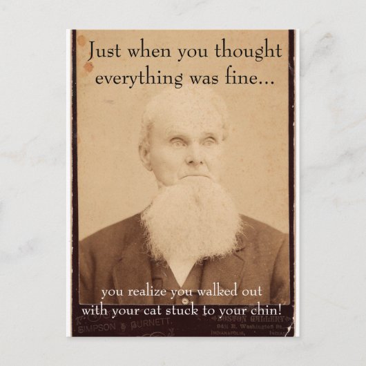 Old Man Bad Hair Day Postkarte (Vorderseite)