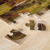 Old Man Cactus portrait, Mexiko Puzzle (Seite)