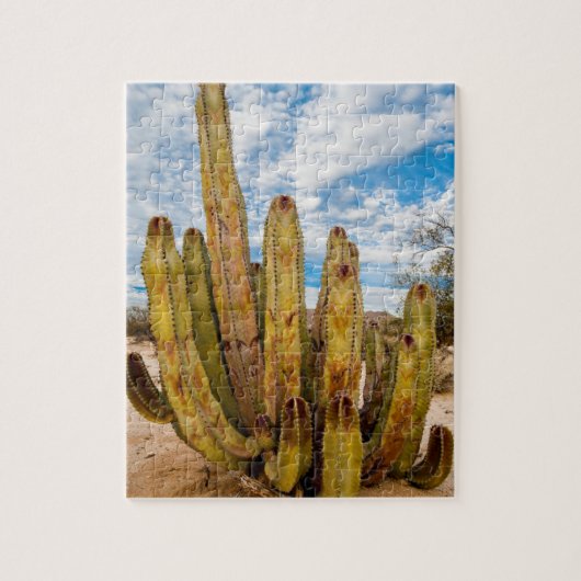 Old Man Cactus portrait, Mexiko Puzzle (Vertikal)