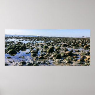 Old Man's Beach - San Onofre Staat Beach Poster