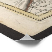 Old Map of Belgium and Netherlands from 1702-1707 Poster (Ecke)