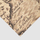 Old Map Series 1 Design 7 Seidenpapier (Detail)