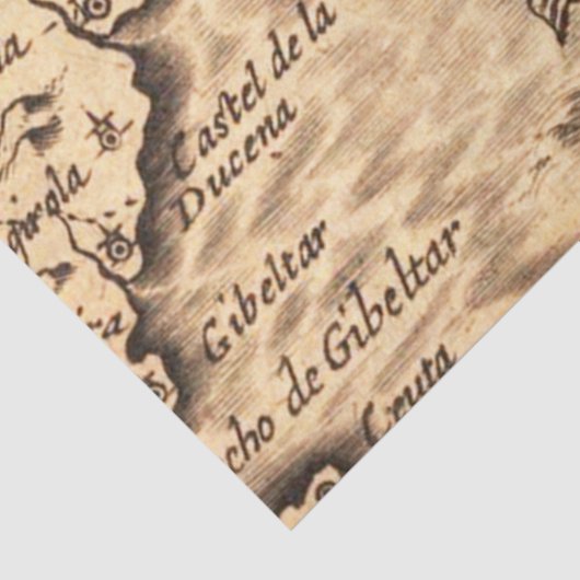 Old Map Series 1 Design 7 Seidenpapier (Detail)