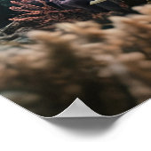 Old Mermaid Poster (Ecke)