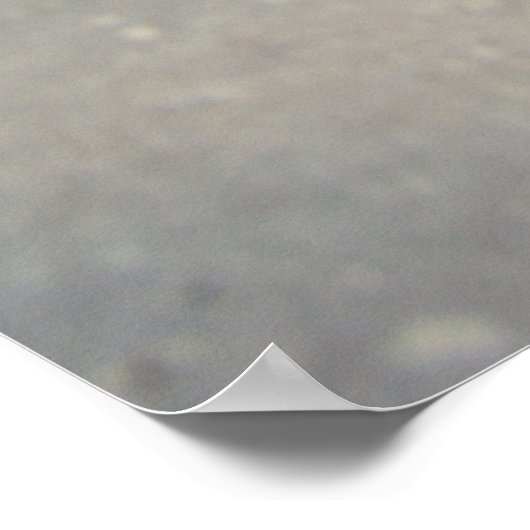 Old Mill Falls, Robert H Treman Staat Park, NY Poster (Ecke)