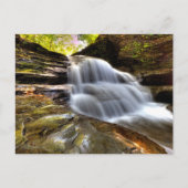 Old Mill Falls, Robert H Treman Staat Park, NY Postkarte (Vorderseite)