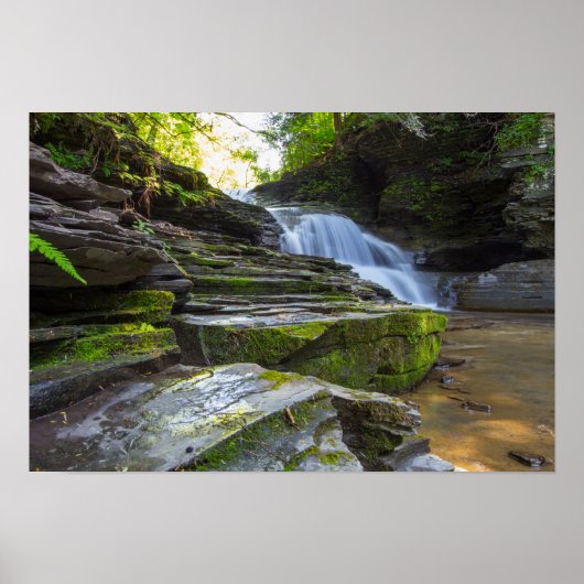 Old Mill Falls, Robert Treman Staat park, NY Poster (Vorne)
