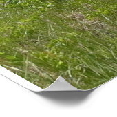 Old Mission Point Lighthouse Poster (Ecke)