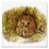"Old Mr Pricklepin" von Beatrix Potter Fotodruck (Vorne)