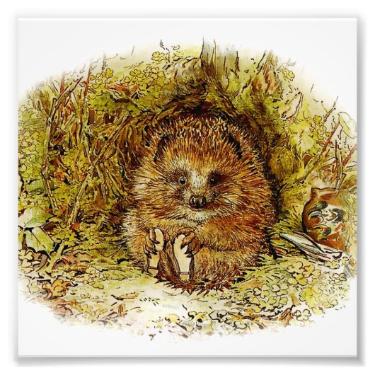 "Old Mr Pricklepin" von Beatrix Potter Fotodruck (Vorne)