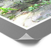 Old Newgate Prison Print Poster (Ecke)