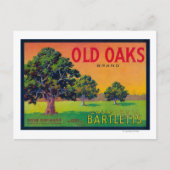 Old Oaks Pear Crate LabelBryte, CA Postkarte (Vorderseite)