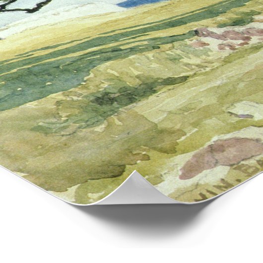 Old Olive Trees, Bordighera Poster (Ecke)