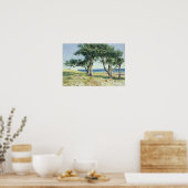 Old Olive Trees, Bordighera Poster (Küche)