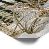 Old Orchard Beach Mainposter Poster (Ecke)