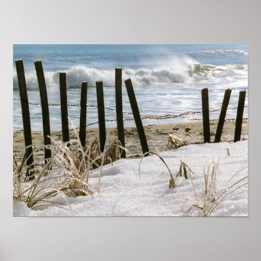 Old Orchard Beach Mainposter Poster (Vorne)