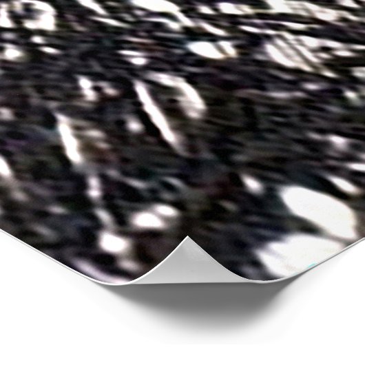 Old Paper Coconut Tree, Bahamas Poster (Ecke)