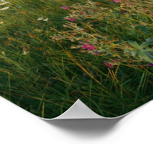 Old Park Service Kabine im Cut Bank Valley Poster (Ecke)