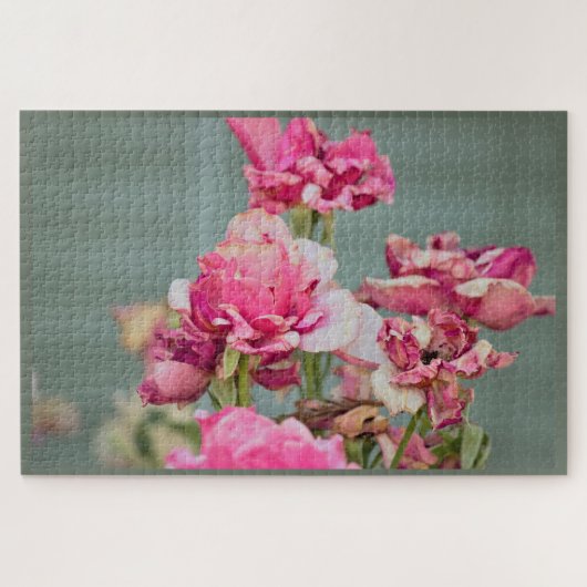 Old Pink Rose Jigsaw Puzzle (Horizontal)