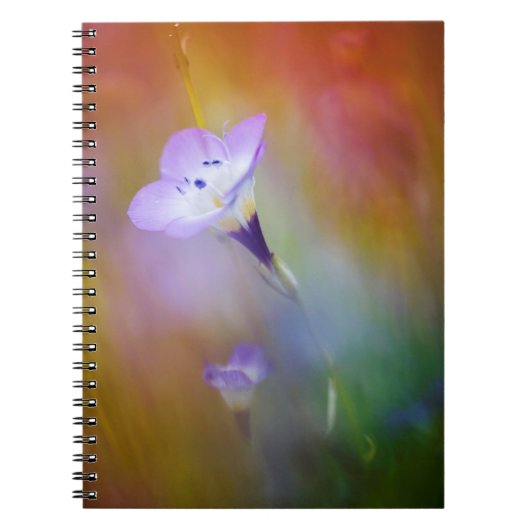 Old Point Loma Leuchtturm| Monument Cabrillo Notizblock (Vorderseite)