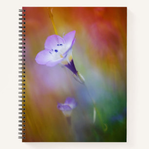 Old Point Loma Lighthouse   Cabrillo-Denkmal Notizblock