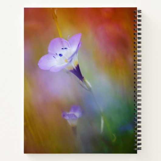 Old Point Loma Lighthouse | Cabrillo-Denkmal Notizblock (Rückseite)