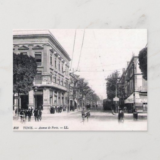 Old Postcard - Avenue de Paris, Tunis Postkarte (Vorderseite)