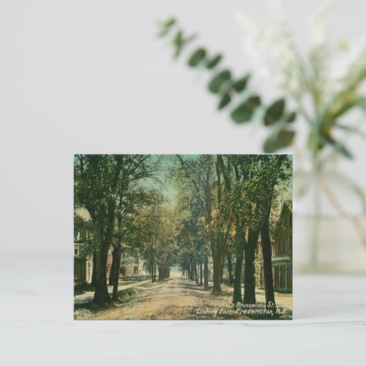 Old Postcard - Fredericton, New Brunswick Postkarte (Stehend Vorderseite)