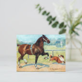 Old Postcard - Hackney Hallion Postkarte (Stehend Vorderseite)