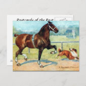 Old Postcard - Hackney Hallion Postkarte (Vorne/Hinten)