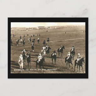 Old Postcard - Racehorses at Newmarket Postkarte