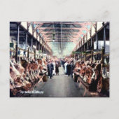 Old Postcard - Saint John, New Brunswick Postkarte (Vorderseite)