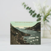 Old Postcard - St John's, Neufundland Postkarte (Stehend Vorderseite)