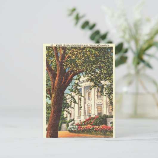 Old Postcard - White House, Washington, DC Postkarte (Stehend Vorderseite)
