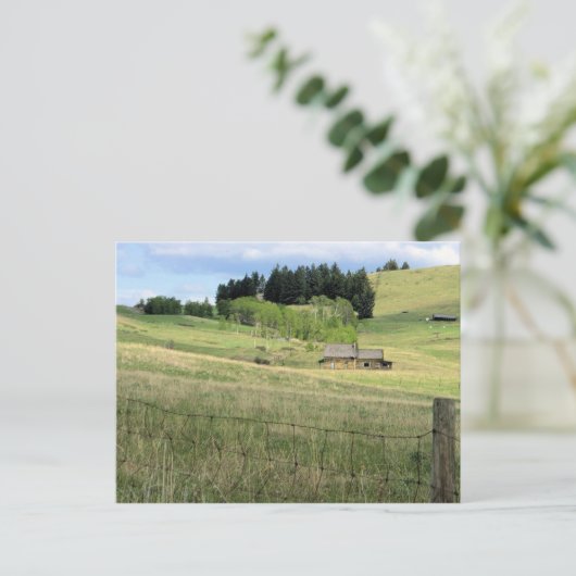 Old Ranch House Boundary, B.C. Postkarte (Stehend Vorderseite)