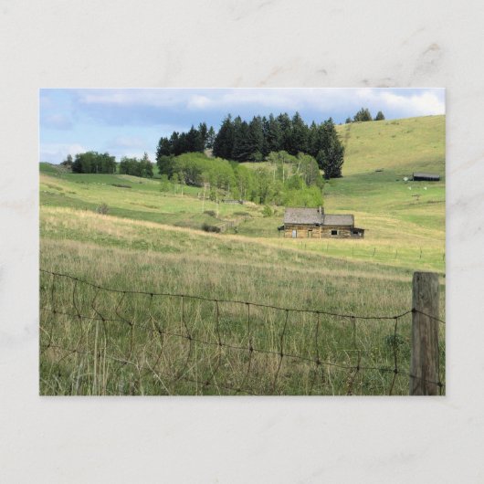Old Ranch House Boundary, B.C. Postkarte (Vorderseite)