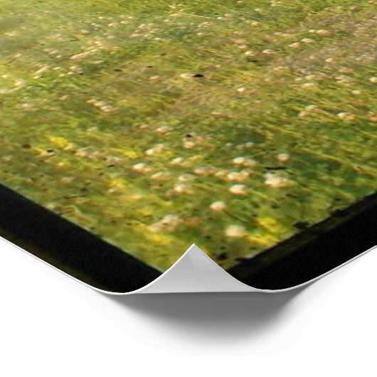 Old Red Barn TTV Poster (Ecke)