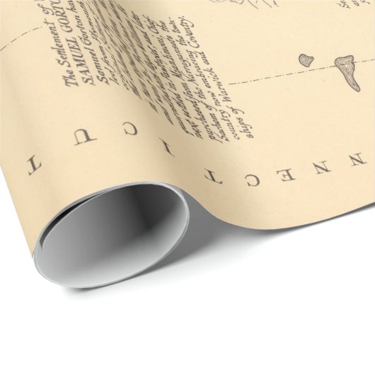 Old Rhode Island Pictorial Map (1925) Geschenkpapier (Rolleneckpunkt)