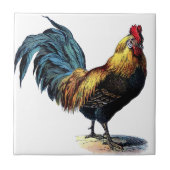 OLD ROOSTER FLIESE (Vorderseite)