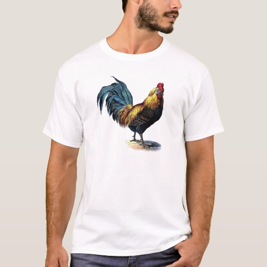 OLD ROOSTER T-Shirt (Vorderseite)