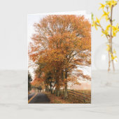 Old Sandwich Road Foliage Karte (Gelbe Blume)