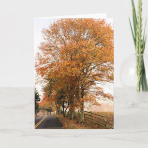 Old Sandwich Road Foliage Karte