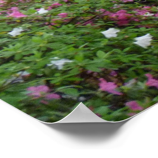 Old Savannah Poster (Ecke)